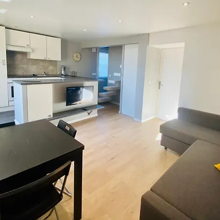 T3 En Duplex Pour 6 Pers Bien Place Terrasse Et Parking Inclus *