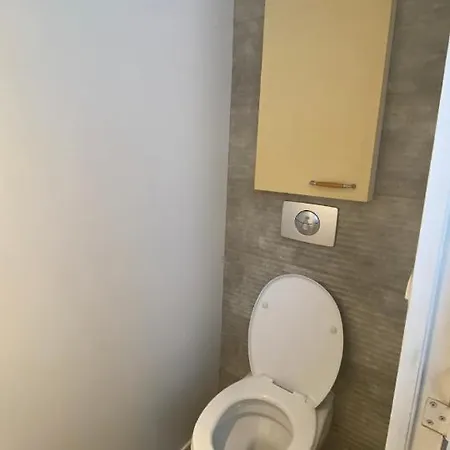 Appartement Beau T3 En Duplex Terrasse Et Parking Bien Placé Toulouse